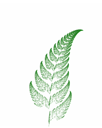 A n image of a Barnsley like fractal fern, with a disconnected stem.